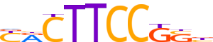 ETV6.H13CORE.0.PS.A reverse-complement motif logo (ETV6 gene, ETV6_HUMAN protein)