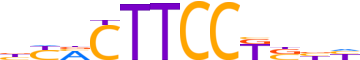 ETV6.H13CORE.1.P.B reverse-complement motif logo (ETV6 gene, ETV6_HUMAN protein)