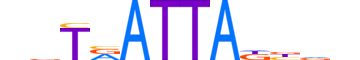 EVX1.H13CORE.0.SM.B reverse-complement motif logo (EVX1 gene, EVX1_HUMAN protein)