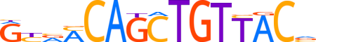 FER3L.H13CORE.0.SM.B reverse-complement motif logo (FERD3L gene, FER3L_HUMAN protein)