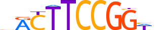 FEV.H13CORE.0.S.B reverse-complement motif logo (FEV gene, FEV_HUMAN protein)