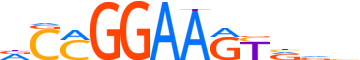 FLI1.H13CORE.0.PSM.A motif logo (FLI1 gene, FLI1_HUMAN protein)