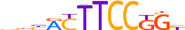 FLI1.H13CORE.0.PSM.A reverse-complement motif logo (FLI1 gene, FLI1_HUMAN protein)