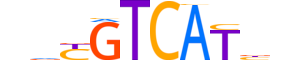 FOS.H13CORE.1.S.C motif logo (FOS gene, FOS_HUMAN protein)