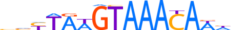 FOXA1.H13CORE.1.S.C reverse-complement motif logo (FOXA1 gene, FOXA1_HUMAN protein)