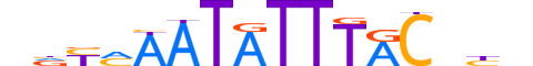 FOXA2.H13CORE.1.SM.B motif logo (FOXA2 gene, FOXA2_HUMAN protein)