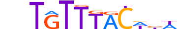 FOXA3.H13CORE.0.PS.A motif logo (FOXA3 gene, FOXA3_HUMAN protein)