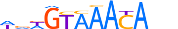 FOXA3.H13CORE.0.PS.A reverse-complement motif logo (FOXA3 gene, FOXA3_HUMAN protein)