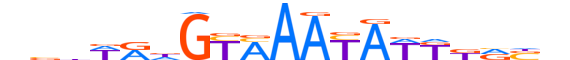 FOXA3.H13CORE.1.M.C reverse-complement motif logo (FOXA3 gene, FOXA3_HUMAN protein)