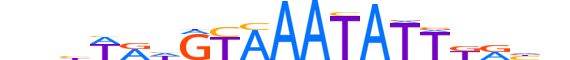 FOXB1.H13CORE.0.SM.B reverse-complement motif logo (FOXB1 gene, FOXB1_HUMAN protein)