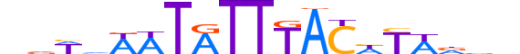 FOXC1.H13CORE.0.S.B motif logo (FOXC1 gene, FOXC1_HUMAN protein)