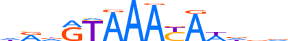 FOXC1.H13CORE.1.S.C reverse-complement motif logo (FOXC1 gene, FOXC1_HUMAN protein)