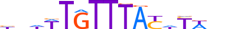 FOXC2.H13CORE.0.SM.B motif logo (FOXC2 gene, FOXC2_HUMAN protein)