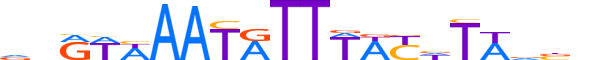 FOXD2.H13CORE.0.S.B motif logo (FOXD2 gene, FOXD2_HUMAN protein)