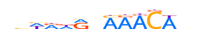 FOXD3.H13CORE.0.P.C reverse-complement motif logo (FOXD3 gene, FOXD3_HUMAN protein)