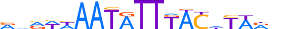 FOXD3.H13CORE.1.S.B motif logo (FOXD3 gene, FOXD3_HUMAN protein)