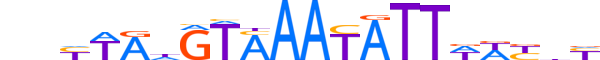 FOXD3.H13CORE.1.S.B reverse-complement motif logo (FOXD3 gene, FOXD3_HUMAN protein)