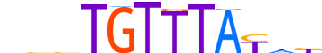 FOXF1.H13CORE.0.P.C motif logo (FOXF1 gene, FOXF1_HUMAN protein)