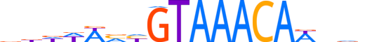 FOXI1.H13CORE.0.SM.B reverse-complement motif logo (FOXI1 gene, FOXI1_HUMAN protein)