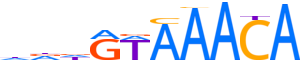 FOXK1.H13CORE.0.PS.A reverse-complement motif logo (FOXK1 gene, FOXK1_HUMAN protein)