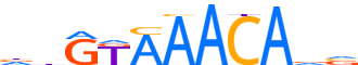 FOXK2.H13CORE.0.P.B reverse-complement motif logo (FOXK2 gene, FOXK2_HUMAN protein)