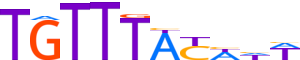 FOXL2.H13CORE.0.PSM.A motif logo (FOXL2 gene, FOXL2_HUMAN protein)