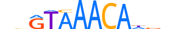 FOXO6.H13CORE.0.S.B reverse-complement motif logo (FOXO6 gene, FOXO6_HUMAN protein)