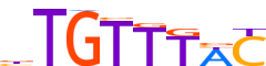 FOXP2.H13CORE.0.P.B motif logo (FOXP2 gene, FOXP2_HUMAN protein)