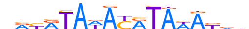 FOXR2.H13CORE.0.M.C reverse-complement motif logo (FOXR2 gene, FOXR2_HUMAN protein)