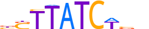 GATA1.H13CORE.1.PSM.A reverse-complement motif logo (GATA1 gene, GATA1_HUMAN protein)