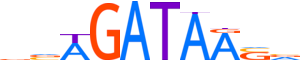 GATA2.H13CORE.0.PSM.A motif logo (GATA2 gene, GATA2_HUMAN protein)