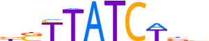 GATA2.H13CORE.0.PSM.A reverse-complement motif logo (GATA2 gene, GATA2_HUMAN protein)