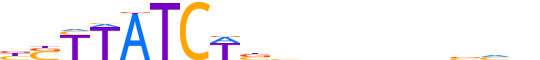 GATA2.H13CORE.1.P.B reverse-complement motif logo (GATA2 gene, GATA2_HUMAN protein)