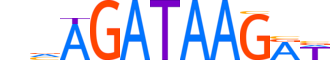 GATA3.H13CORE.1.SM.B motif logo (GATA3 gene, GATA3_HUMAN protein)