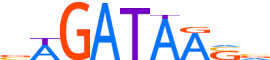 GATA4.H13CORE.0.PSM.A motif logo (GATA4 gene, GATA4_HUMAN protein)