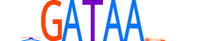 GATA5.H13CORE.0.SM.B motif logo (GATA5 gene, GATA5_HUMAN protein)