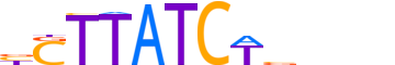 GATA6.H13CORE.0.PSM.A reverse-complement motif logo (GATA6 gene, GATA6_HUMAN protein)