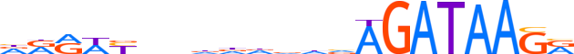 GATAD2A.H13CORE.0.SG.A reverse-complement motif logo (GATAD2A gene, P66A_HUMAN protein)