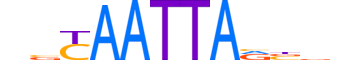 GBX2.H13CORE.0.SM.B reverse-complement motif logo (GBX2 gene, GBX2_HUMAN protein)