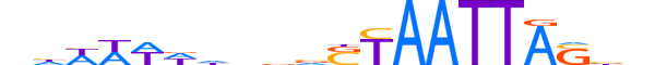 GBX2.H13CORE.1.S.B reverse-complement motif logo (GBX2 gene, GBX2_HUMAN protein)