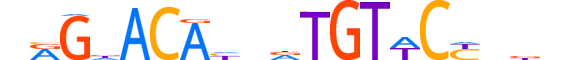 GCR.H13CORE.0.PS.A motif logo (NR3C1 gene, GCR_HUMAN protein)