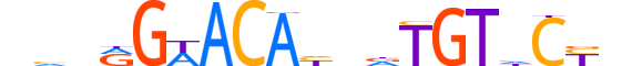 GCR.H13CORE.0.PS.A reverse-complement motif logo (NR3C1 gene, GCR_HUMAN protein)