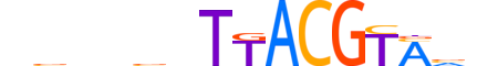 GMEB1.H13CORE.2.SM.B reverse-complement motif logo (GMEB1 gene, GMEB1_HUMAN protein)