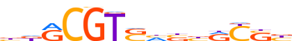 GMEB2.H13CORE.0.P.C motif logo (GMEB2 gene, GMEB2_HUMAN protein)