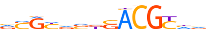 GMEB2.H13CORE.0.P.C reverse-complement motif logo (GMEB2 gene, GMEB2_HUMAN protein)