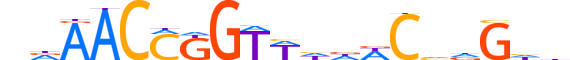 GRHL1.H13CORE.0.PSM.A motif logo (GRHL1 gene, GRHL1_HUMAN protein)