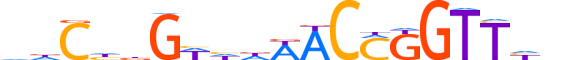 GRHL1.H13CORE.0.PSM.A reverse-complement motif logo (GRHL1 gene, GRHL1_HUMAN protein)