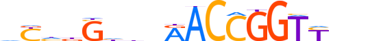 GRHL3.H13CORE.0.SB.A motif logo (GRHL3 gene, GRHL3_HUMAN protein)