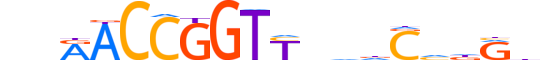 GRHL3.H13CORE.0.SB.A reverse-complement motif logo (GRHL3 gene, GRHL3_HUMAN protein)