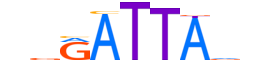 GSC2.H13CORE.0.SM.B motif logo (GSC2 gene, GSC2_HUMAN protein)